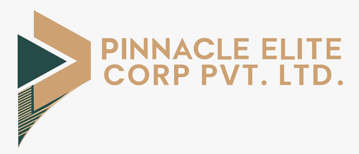 Pinnacle Elite Corp logo
